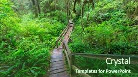  Presentation with british columbia canada - Cool new presentation with rain forest in vancouver island backdrop and a  colored foreground