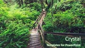  Presentation with islam and forest - Slide deck featuring rain forest in vancouver island background and a  colored foreground