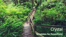  Presentation with british columbia - Presentation theme consisting of rain forest in vancouver island background and a  colored foreground
