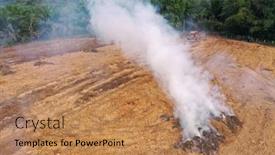  Presentation with palm oil - PPT theme consisting of rain-forest-land-burned background and a coral colored foreground
