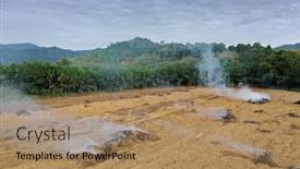  Presentation with palm oil - Slide deck with rain-forest-land-burned background and a coral colored foreground