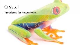  Presentation with costa rica - Colorful presentation design enhanced with rain forest of panama backdrop and a white colored foreground