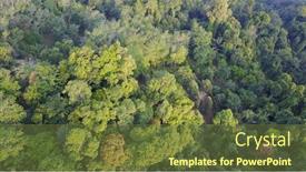  Presentation with rainforest - Slide deck featuring rain-forest-rainforest-jungle-aerial background and a tawny brown colored foreground