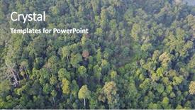  Presentation with rainforest - Amazing slide deck having nasionalisme indonesia - rain forest rainforest jungle aerial backdrop and a gray colored foreground