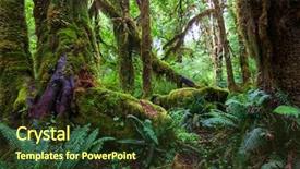  Presentation with rain - Colorful PPT layouts enhanced with rain forest backdrop and a tawny brown colored foreground