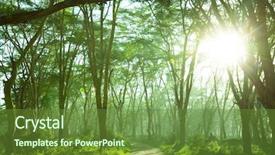  Presentation with rain - PPT theme consisting of rain forest background and a tawny brown colored foreground