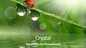  Presentation with fresh start for children - Slides consisting of pink sparkle glitter background glittering background and a violet colored foreground.