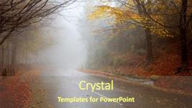  Presentation with foggy - Colorful slide deck enhanced with rain in the forest backdrop and a violet colored foreground