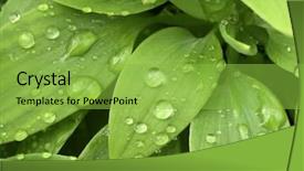  Presentation with rain water - PPT theme enhanced with rain shower - close up of water drops background and a seafoam green colored foreground