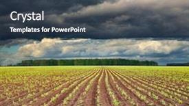  Presentation with rain clouds - Cool new presentation with rain sky - view of field with sprouting backdrop and a tawny brown colored foreground