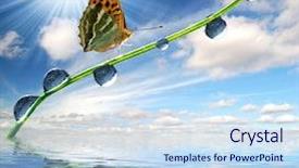  Presentation with butterfly transformation - Presentation theme having rain sun - fresh morning dew and butterfly background and a sky blue colored foreground