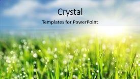  Presentation with rain sky - Theme with rain water - close up of fresh morning background and a light blue colored foreground