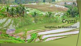  Presentation with rain water harvesting - Slide set enhanced with rain water harvesting - rice fields prepared for rice background and a seafoam green colored foreground