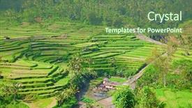  Presentation with rain water harvesting - Presentation design with rain water harvesting - rice fields prepared for rice background and a tawny brown colored foreground