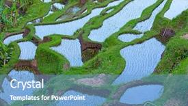  Presentation with rain water harvesting - Presentation theme enhanced with rain water harvesting - rice fields prepared for rice background and a teal colored foreground