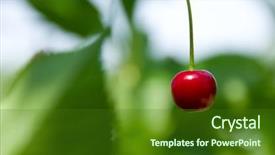  Presentation with green leaves - Presentation theme enhanced with rain water harvesting - ripe red cherries and green background and a  colored foreground