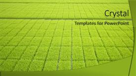  Presentation with rain water harvesting - Cool new PPT theme with rain water harvesting - view from hot air balloon backdrop and a yellow colored foreground