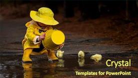  Presentation with rain water - Cool new slide deck with rain while little chick backdrop and a tawny brown colored foreground