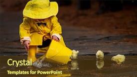 Presentation with rain water - Colorful presentation design enhanced with rain while little chick backdrop and a tawny brown colored foreground