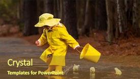  Presentation with rain water - Cool new slide set with rain while little chick backdrop and a tawny brown colored foreground