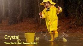  Presentation with rain water - Presentation design enhanced with rain while little chick background and a tawny brown colored foreground