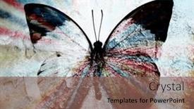  Presentation with rainbow - Slide deck featuring rainbow-butterfly-abstract-retro-toned background and a violet colored foreground