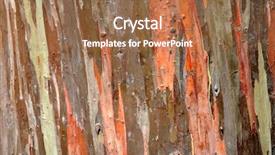 Presentation with eucalyptus - Amazing presentation theme having rainbow-eucalyptus-bark-background backdrop and a coral colored foreground
