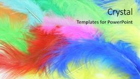  Presentation with sage feathers - Slides with rainbow nature - colored feathers background background and a  colored foreground