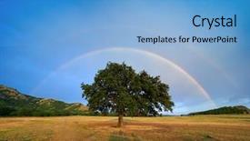  Presentation with rainbow over road - Amazing PPT theme having rainbow over the field backdrop and a light blue colored foreground