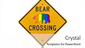  Presentation with rainbow pride - Beautiful slide set featuring rainbow pride flag bear crossing backdrop and a white colored foreground