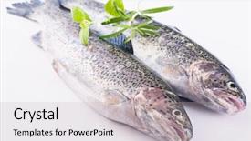  Presentation with trout - PPT theme consisting of rainbow trout with herbs background and a light gray colored foreground