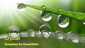 Presentation with dew - Colorful presentation design enhanced with raindrop - dew drops close up backdrop and a tawny brown colored foreground