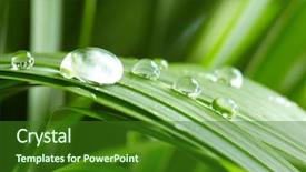  Presentation with water drops - Beautiful presentation design featuring raindrop - water drops on the green backdrop and a forest green colored foreground