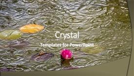 Presentation with garden pond - PPT layouts featuring raindrops in the garden pond background and a  colored foreground