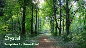  Presentation with rainfall - Slide deck with rainfall garden - park on rainy day background and a tawny brown colored foreground