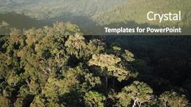  Presentation with rainforest - Cool new slide deck with rainforest aerial photo of forest backdrop and a coral colored foreground