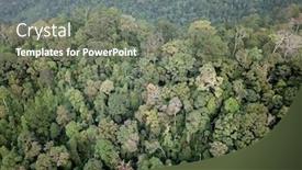  Presentation with rainforest - Colorful slides enhanced with rainforest aerial photo of jungle forest and mountain landscape backdrop and a gray colored foreground