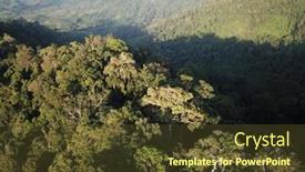  Presentation with rainforest - 