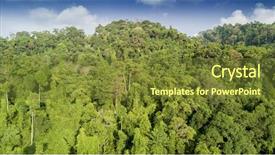  Presentation with rainforest - Beautiful presentation featuring rainforest aerial view of forest trees canopy backdrop and a tawny brown colored foreground