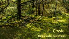  Presentation with rainforest - Cool new PPT layouts with rainforest-at-cape-disappointment-washington backdrop and a tawny brown colored foreground