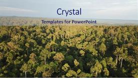  Presentation with rainforest - PPT layouts with rainforest canopy aerial photo background and a sky blue colored foreground