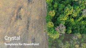  Presentation with oil palm tree - PPT theme enhanced with rainforest destroyed for palm oil background and a gray colored foreground