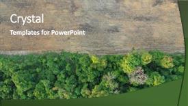  Presentation with oil palm tree - Theme consisting of rainforest destroyed for palm oil background and a gray colored foreground