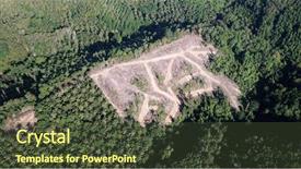  Presentation with palm oil industry - PPT theme enhanced with rainforest for palm oil industry background and a tawny brown colored foreground