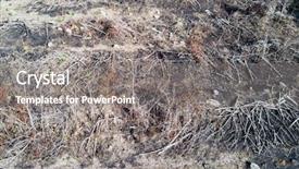  Presentation with palm oil - Cool new slides with deforestation aerial drone photos of logging environmental destruction of rainforest in thailand forest land cleared for oil palm plantations backdrop and a gray colored foreground