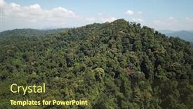  Presentation with rainforest - Theme having rainforest jungle aerial photo background and a tawny brown colored foreground