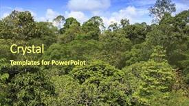  Presentation with rainforest - Cool new slides with rainforest jungle forest canopy in borneo malaysia backdrop and a tawny brown colored foreground