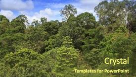  Presentation with rainforest - Theme enhanced with rainforest jungle forest canopy in borneo malaysia background and a tawny brown colored foreground