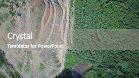  Presentation with palm oil - Presentation design consisting of rainforest logging for oil background and a gray colored foreground