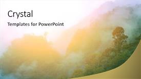  Presentation with rainforest - Presentation theme with rainforest morning sunlight background and a white colored foreground